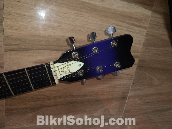 Guitar